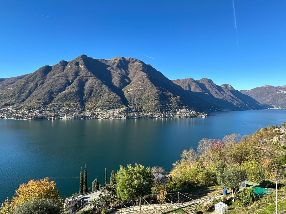 La Casa Del Mastro - Como Lake Pognana Lario エクステリア 写真